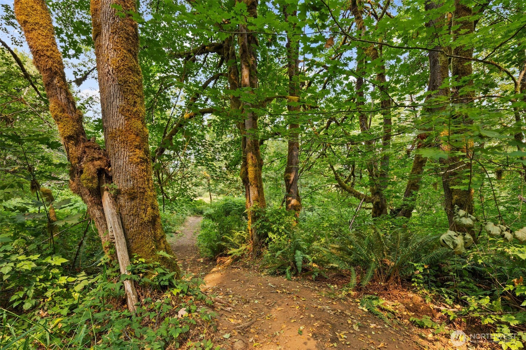 3211 W Little Egypt , Shelton, WA 98584