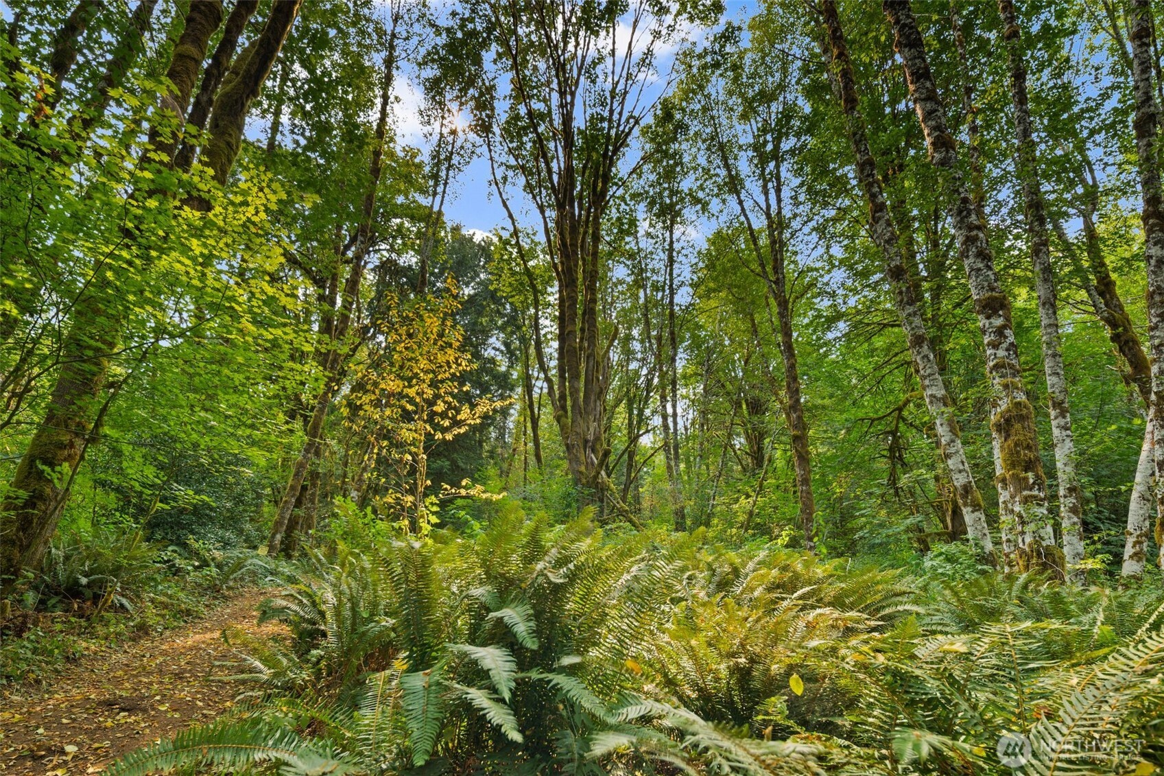 3211 W Little Egypt , Shelton, WA 98584