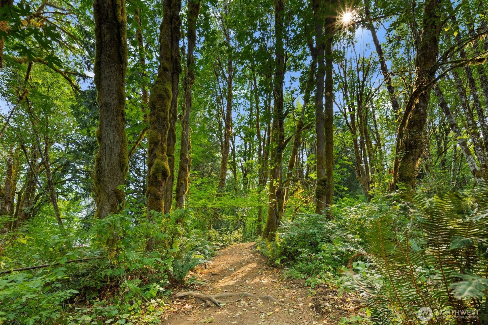 3211 W Little Egypt , Shelton, WA 98584