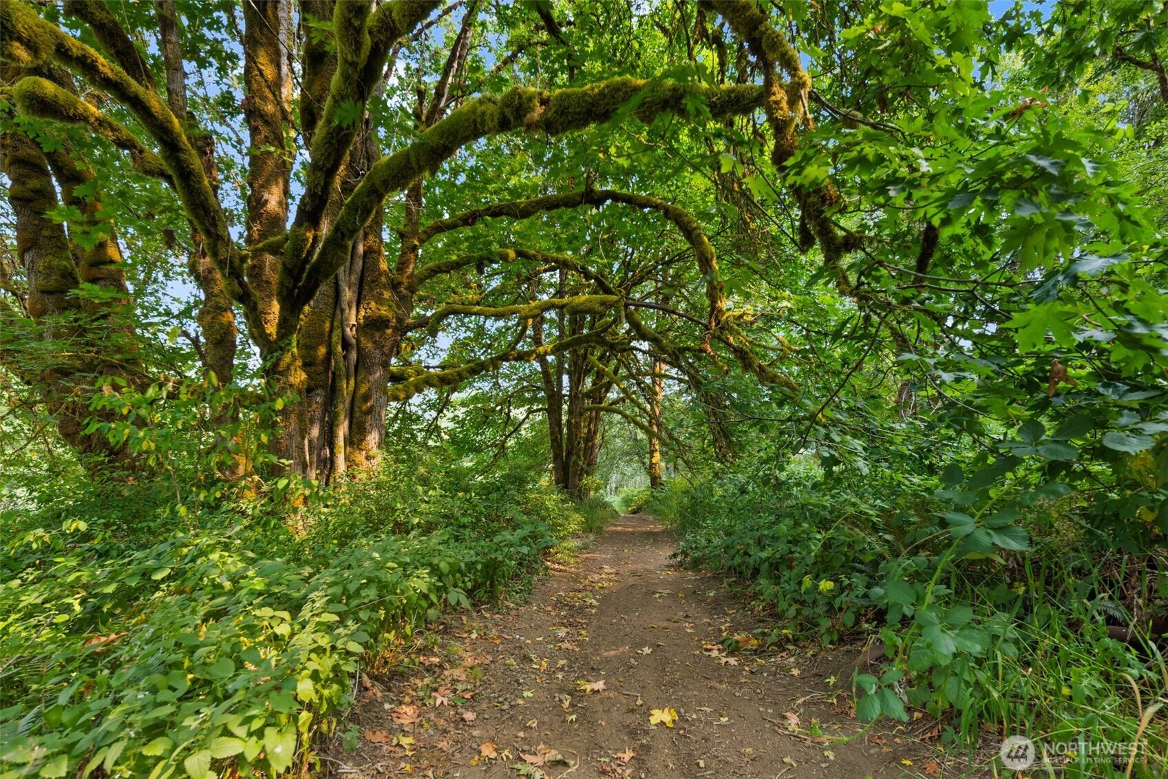 3211 W Little Egypt , Shelton, WA 98584