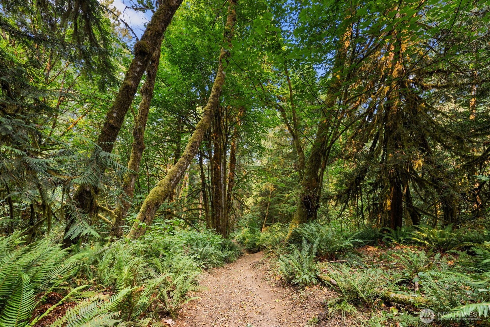 3211 W Little Egypt , Shelton, WA 98584