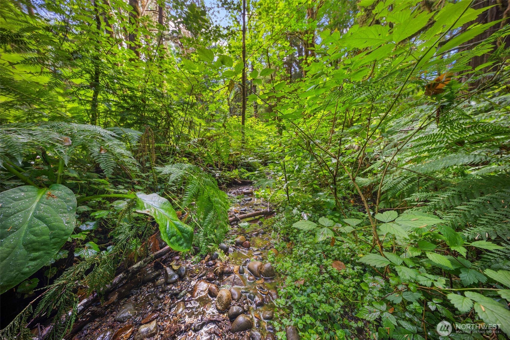 3211 W Little Egypt , Shelton, WA 98584