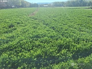 54884 Day Road , Milton-Freewater, OR 97862
