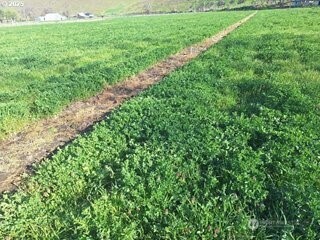 54884 Day Road , Milton-Freewater, OR 97862