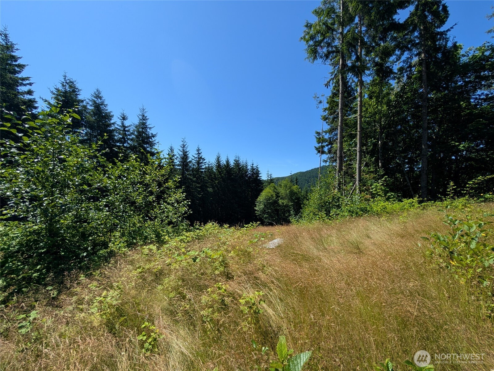 0 XXXX Stoney Brook Lane , Bellingham, WA 98229