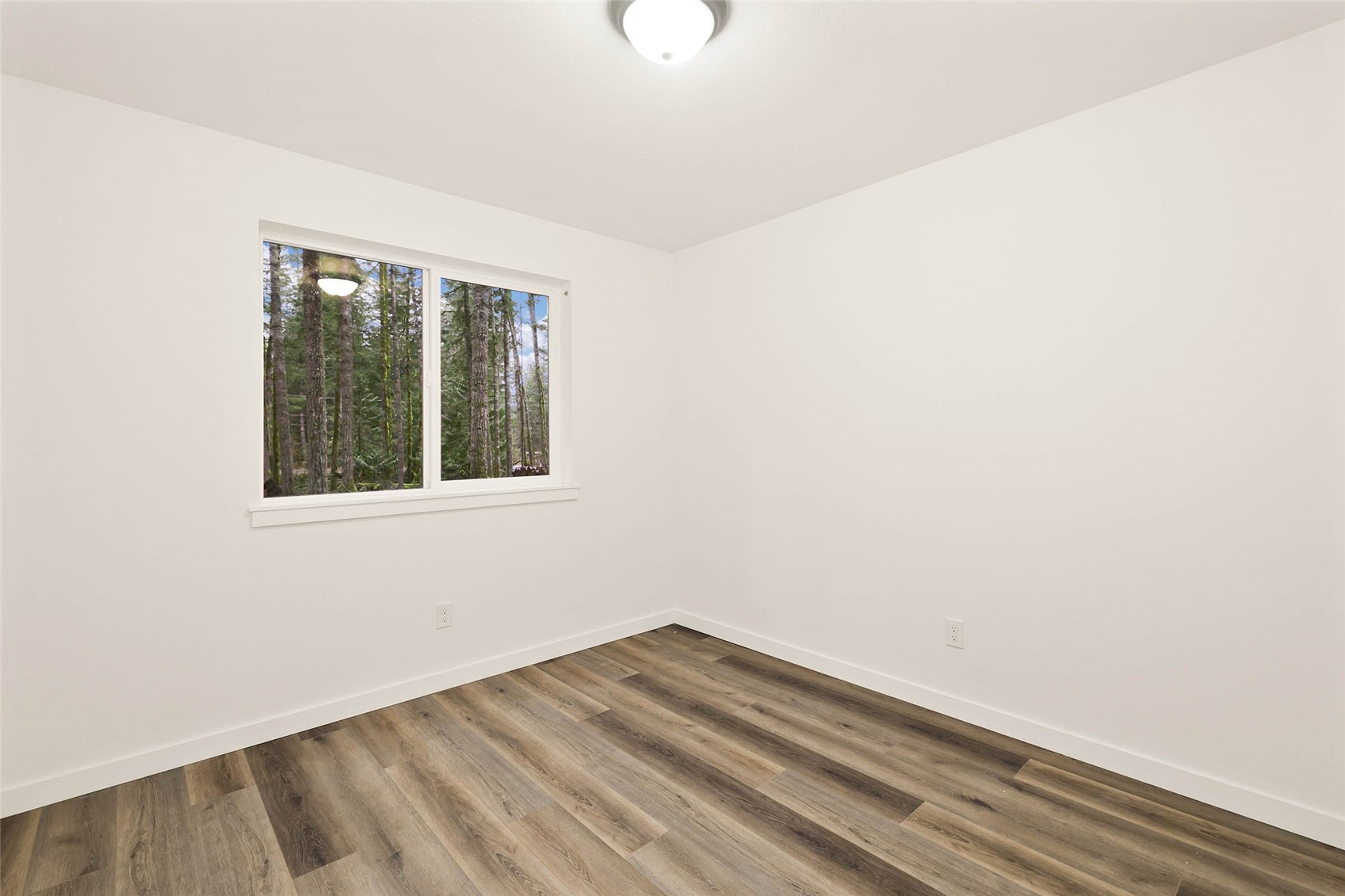 56114 343rd Avenue Ct E, Ashford, WA 98304