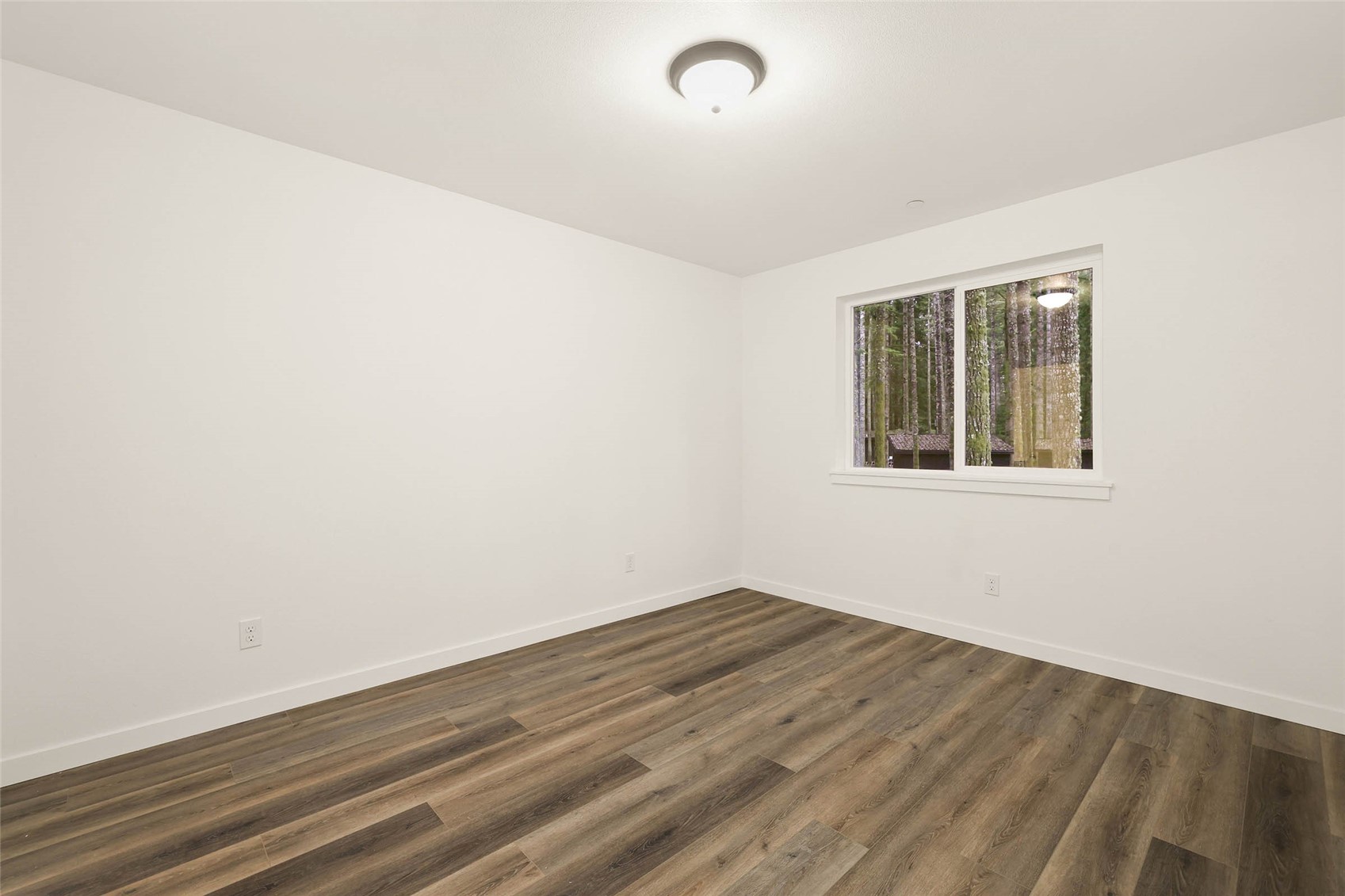 56114 343rd Avenue Ct E, Ashford, WA 98304