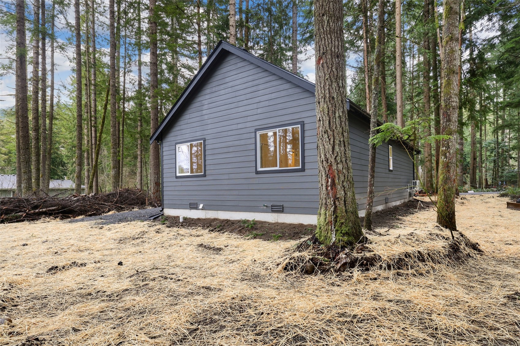 56114 343rd Avenue Ct E, Ashford, WA 98304