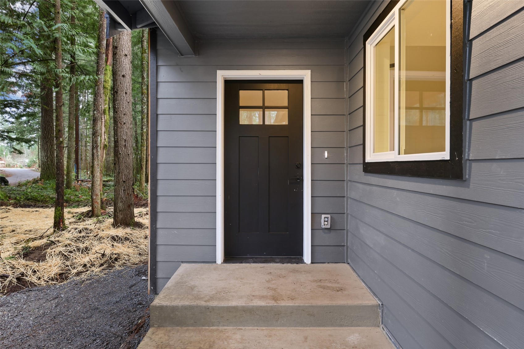 56114 343rd Avenue Ct E, Ashford, WA 98304