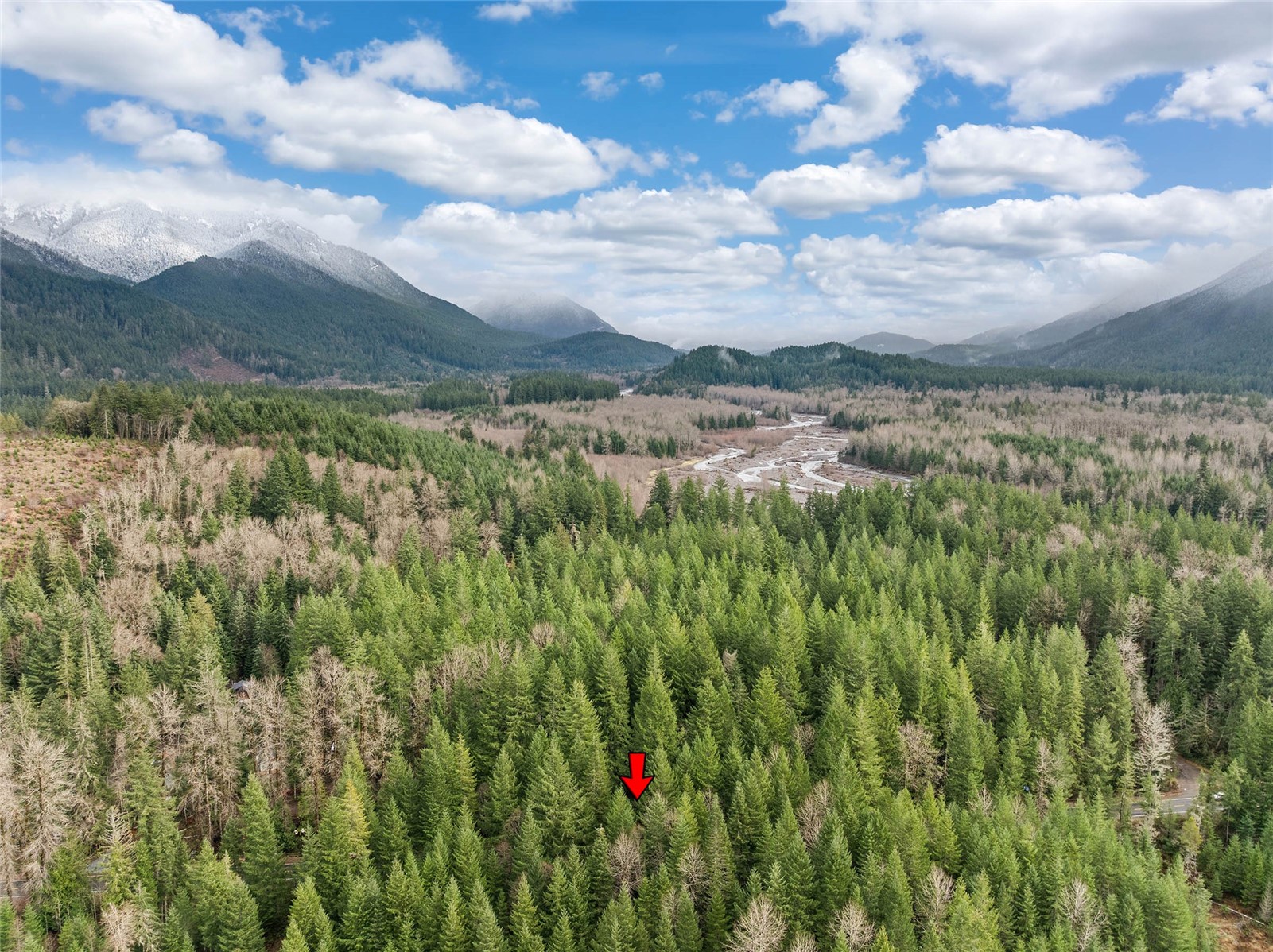 56114 343rd Avenue Ct E, Ashford, WA 98304