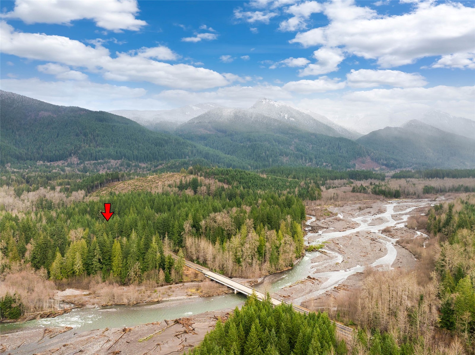 56114 343rd Avenue Ct E, Ashford, WA 98304