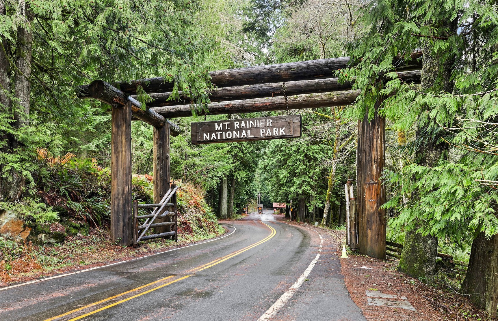 56114 343rd Avenue Ct E, Ashford, WA 98304