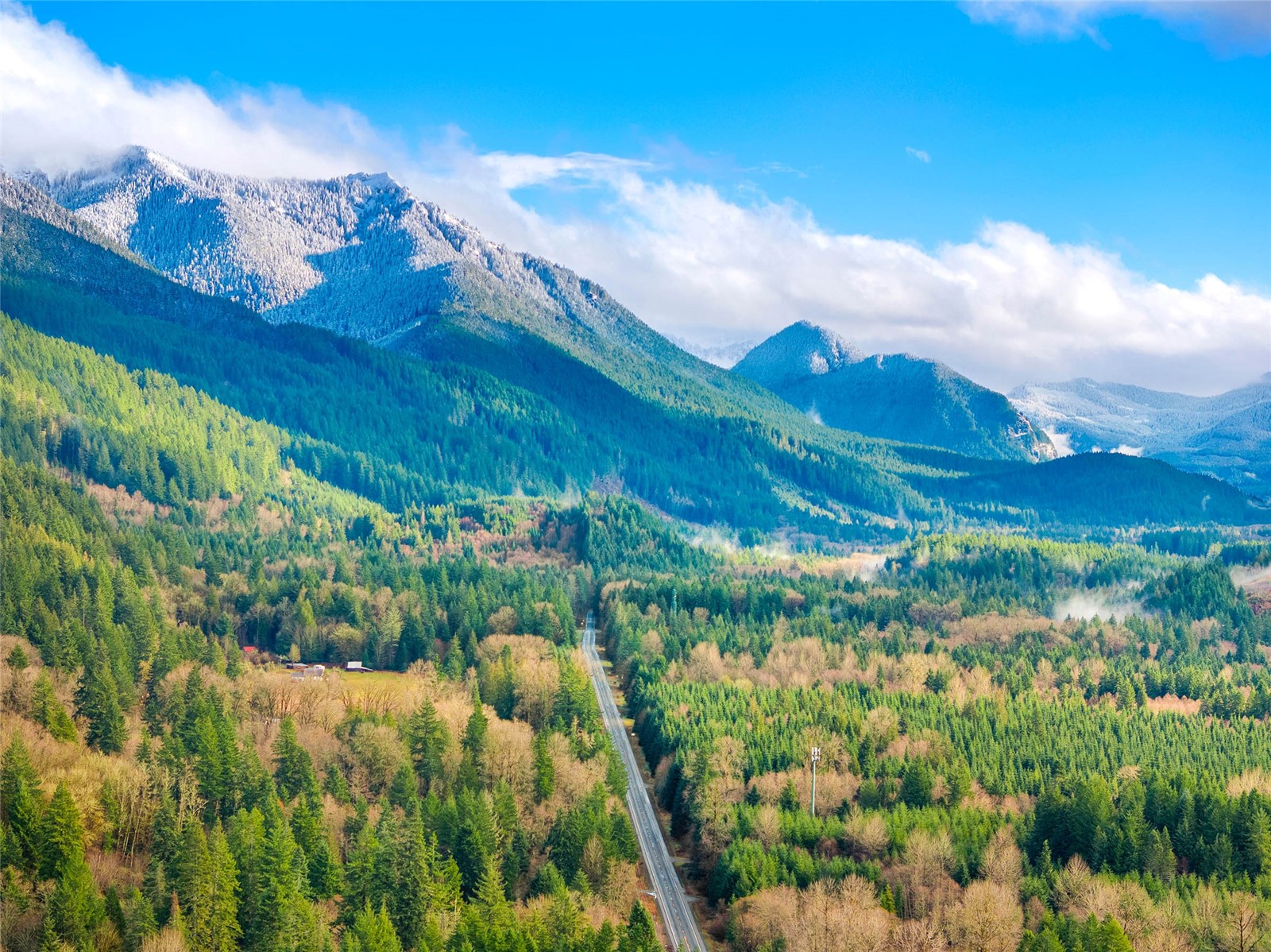 56114 343rd Avenue Ct E, Ashford, WA 98304