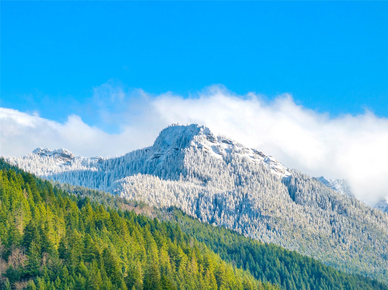 56114 343rd Avenue Ct E, Ashford, WA 98304