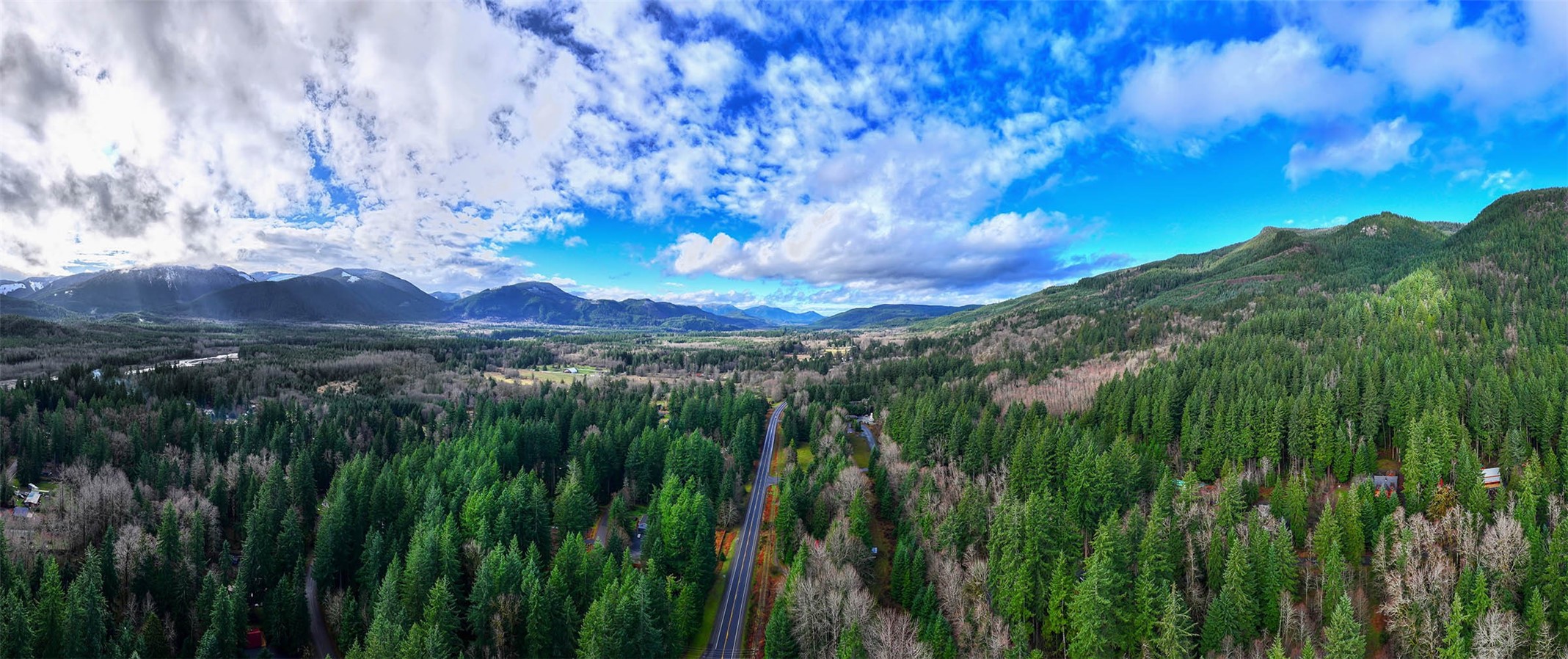 56114 343rd Avenue Ct E, Ashford, WA 98304