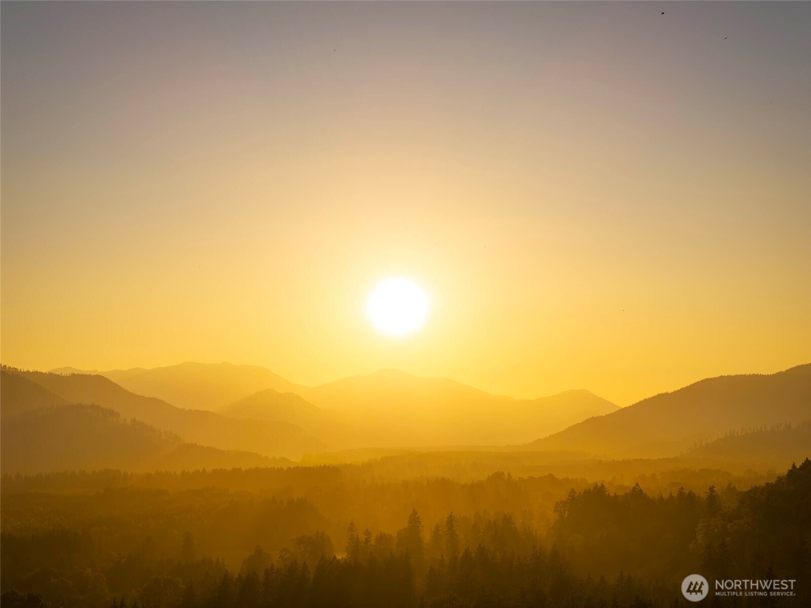 56114 343rd Avenue Ct E, Ashford, WA 98304