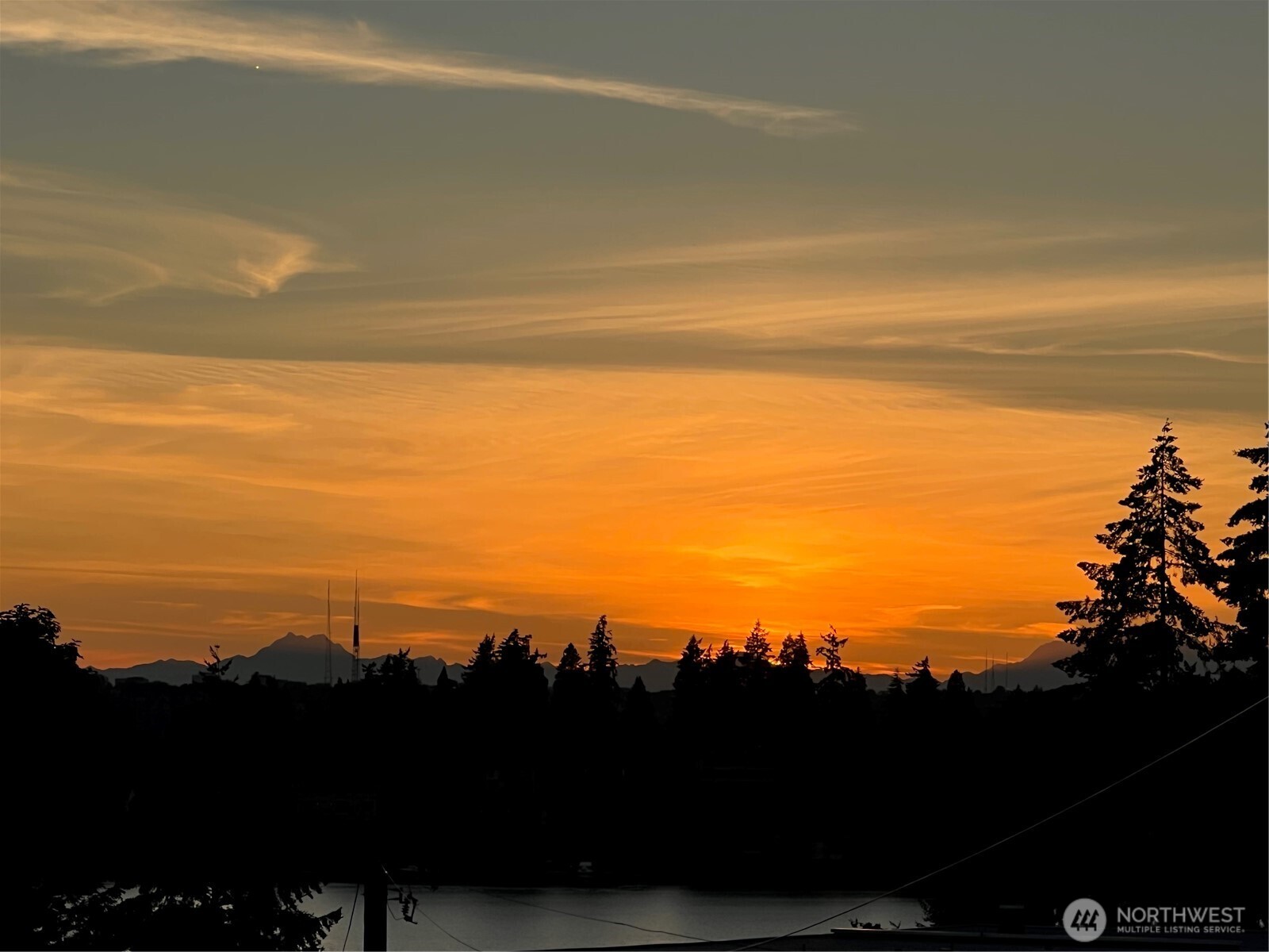 10047 Main Street #410, Bellevue, WA 98004