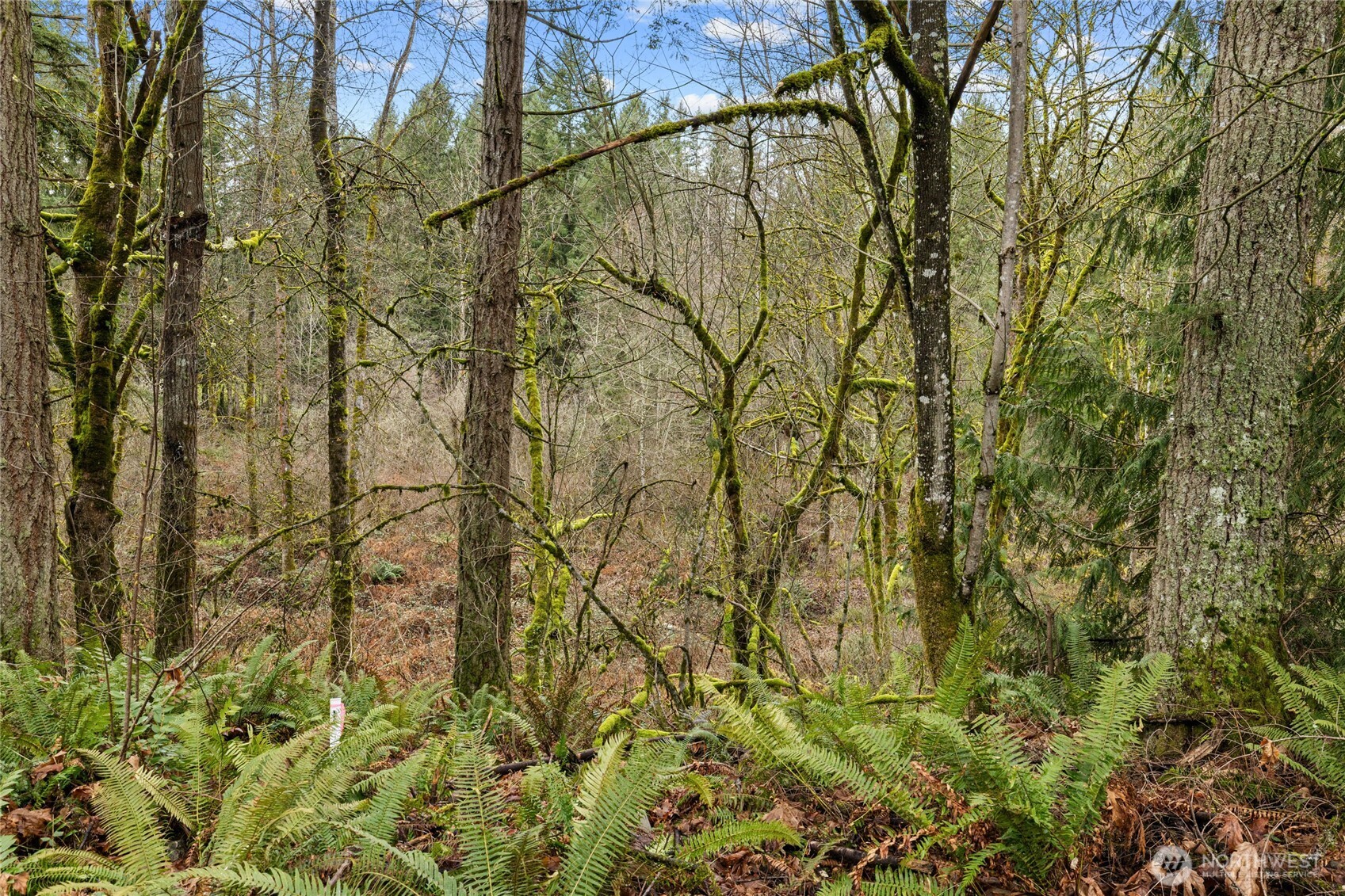 24710 217th Avenue SE, Maple Valley, WA 98038