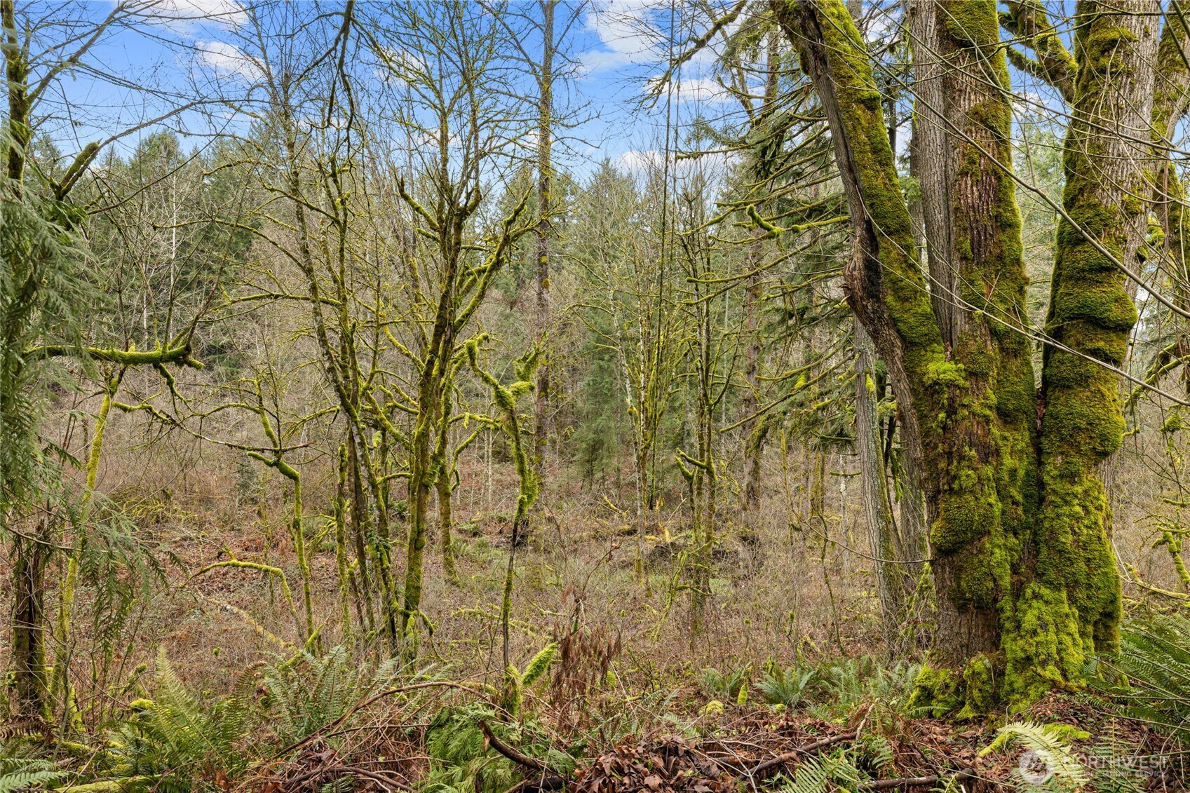 24710 217th Avenue SE, Maple Valley, WA 98038