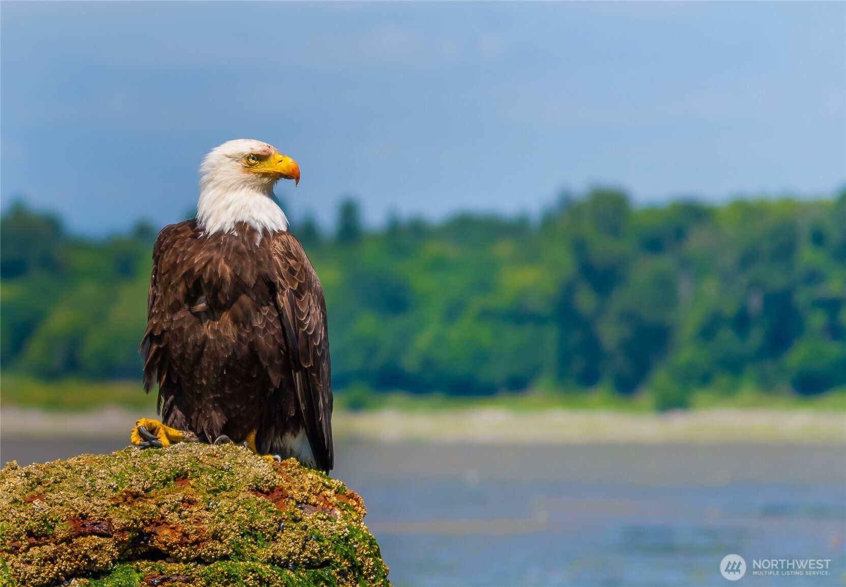 9525 Semiahmoo Parkway #A204, Blaine, WA 98230