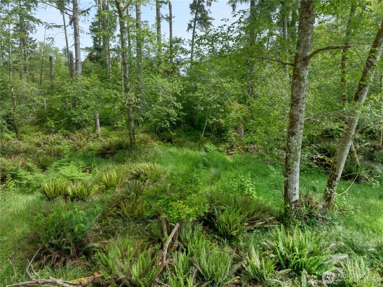 958 Washoe Court SE, Ocean Shores, WA 98569