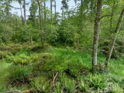 958 Washoe Court SE, Ocean Shores, WA 98569 - Photo 2