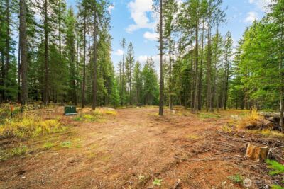 0 S Shugart Flats Road , Leavenworth, WA 98826
