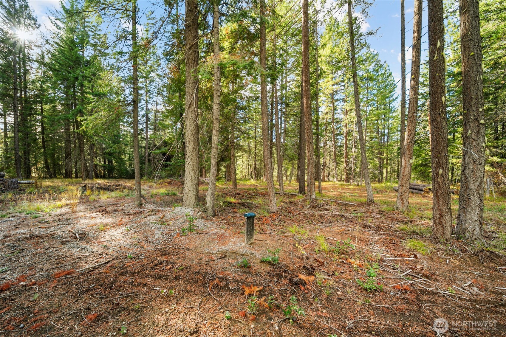 0 S Shugart Flats Road , Leavenworth, WA 98826