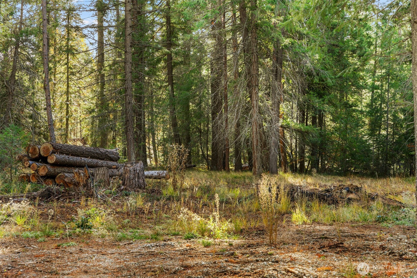 0 S Shugart Flats Road , Leavenworth, WA 98826