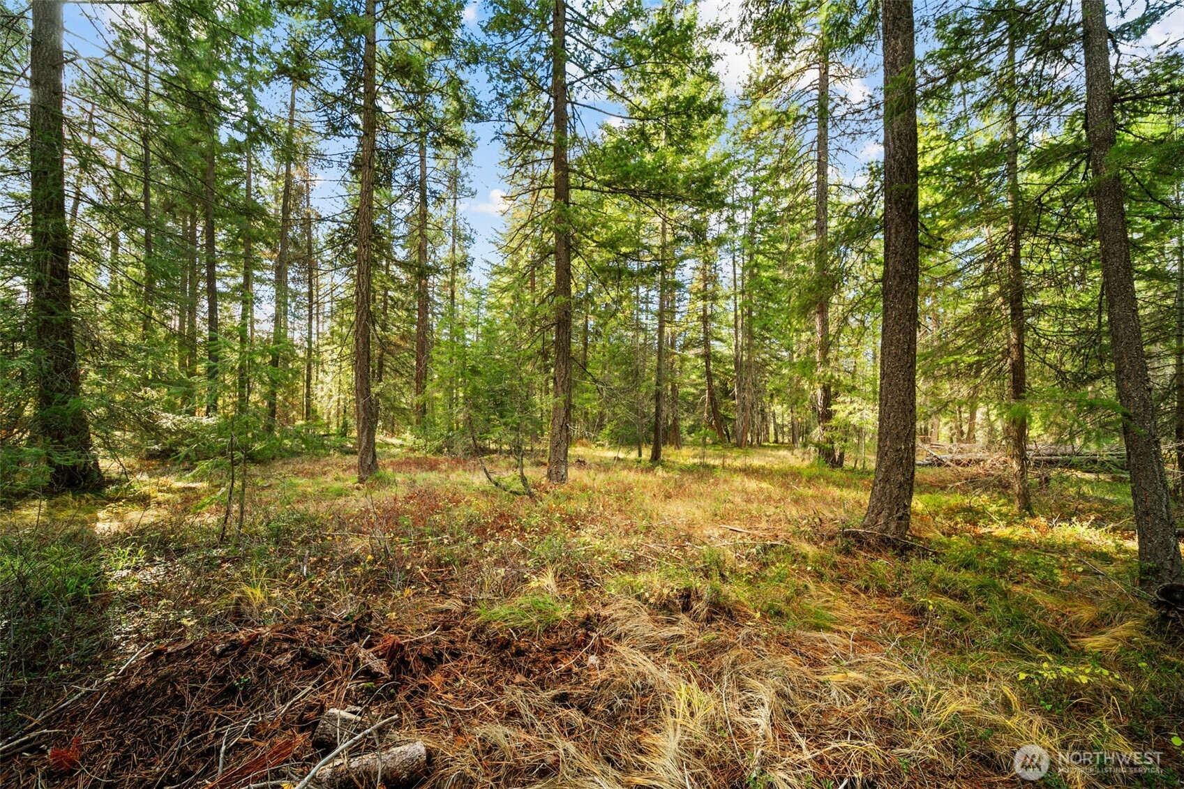 0 S Shugart Flats Road , Leavenworth, WA 98826