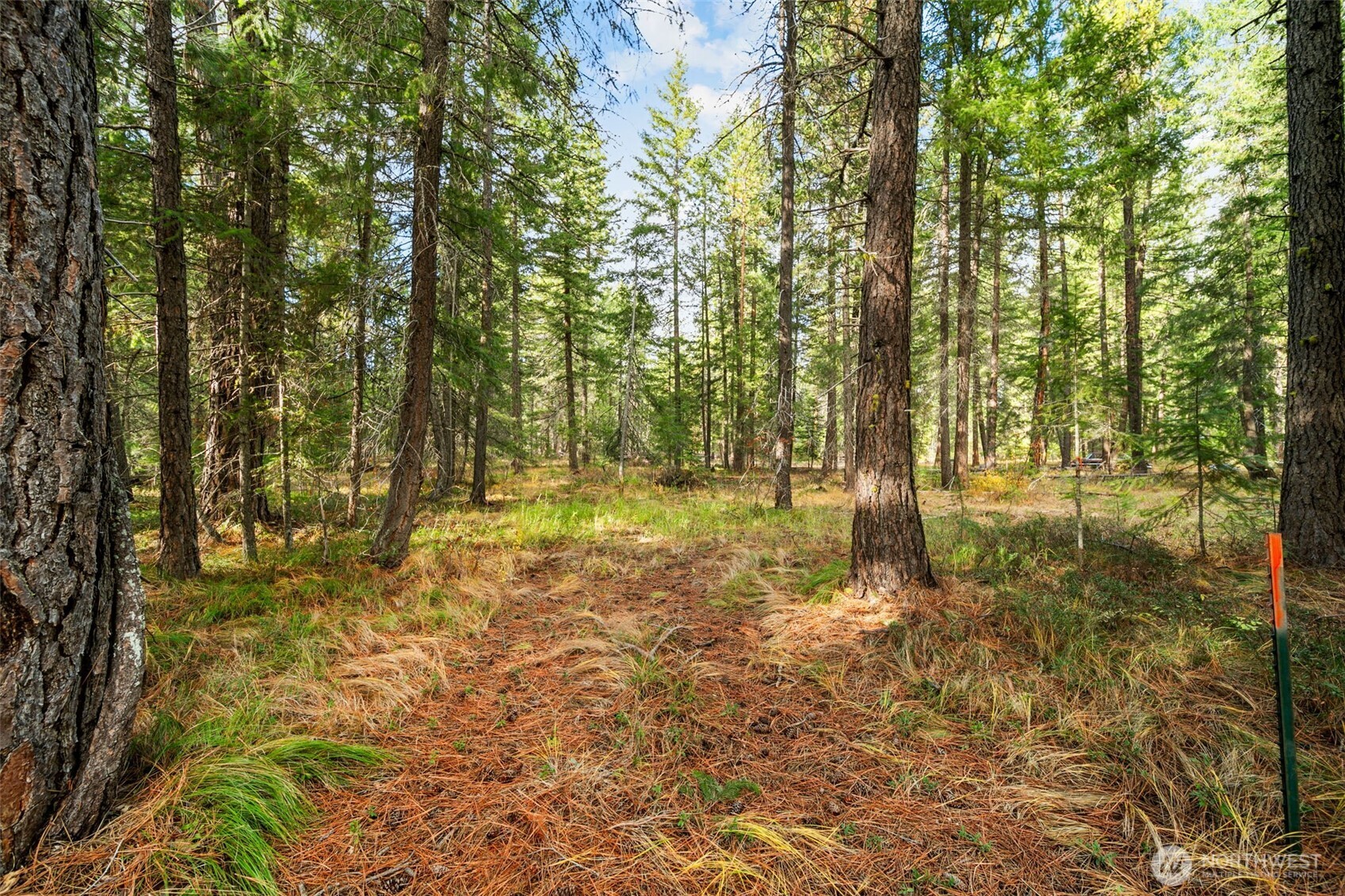 0 S Shugart Flats Road , Leavenworth, WA 98826