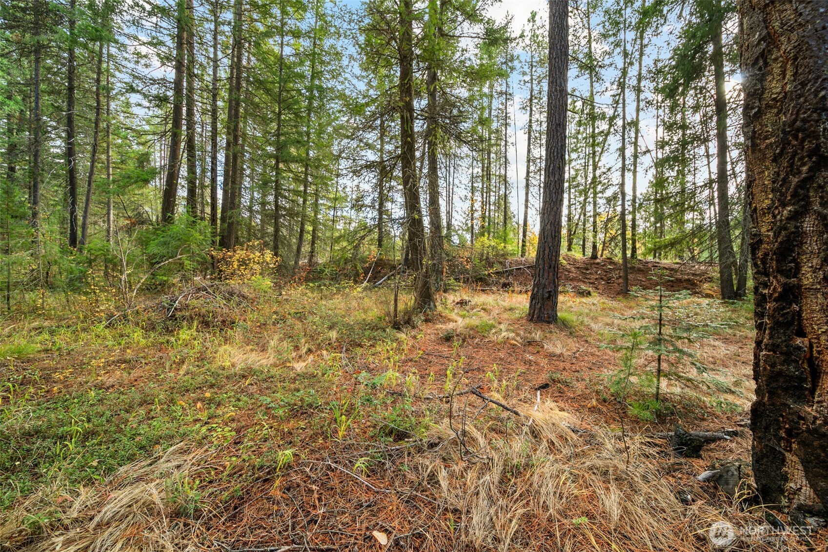 0 S Shugart Flats Road , Leavenworth, WA 98826