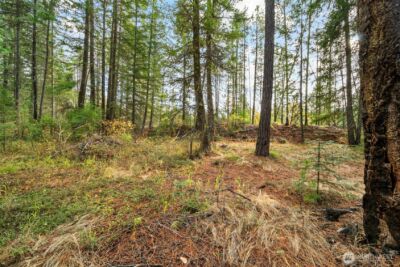 0 S Shugart Flats Road , Leavenworth, WA 98826 - Photo 25