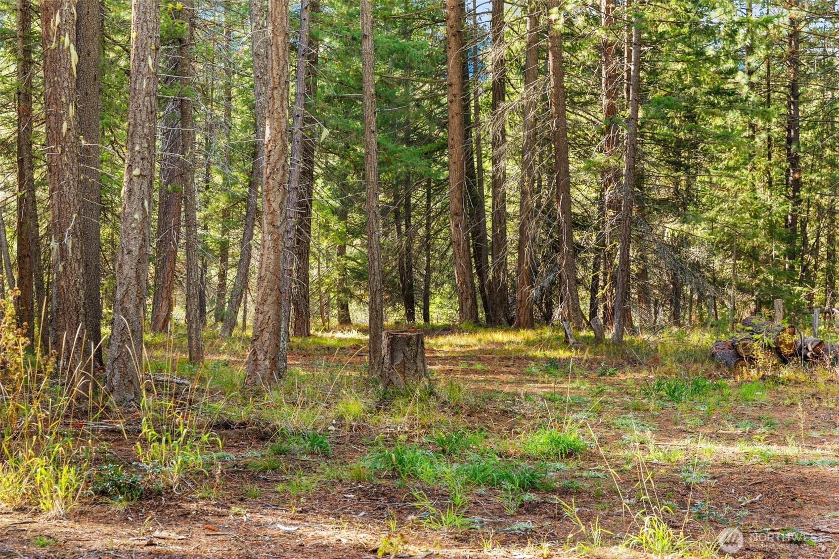 0 S Shugart Flats Road , Leavenworth, WA 98826