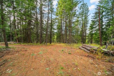 0 S Shugart Flats Road , Leavenworth, WA 98826 - Photo 3