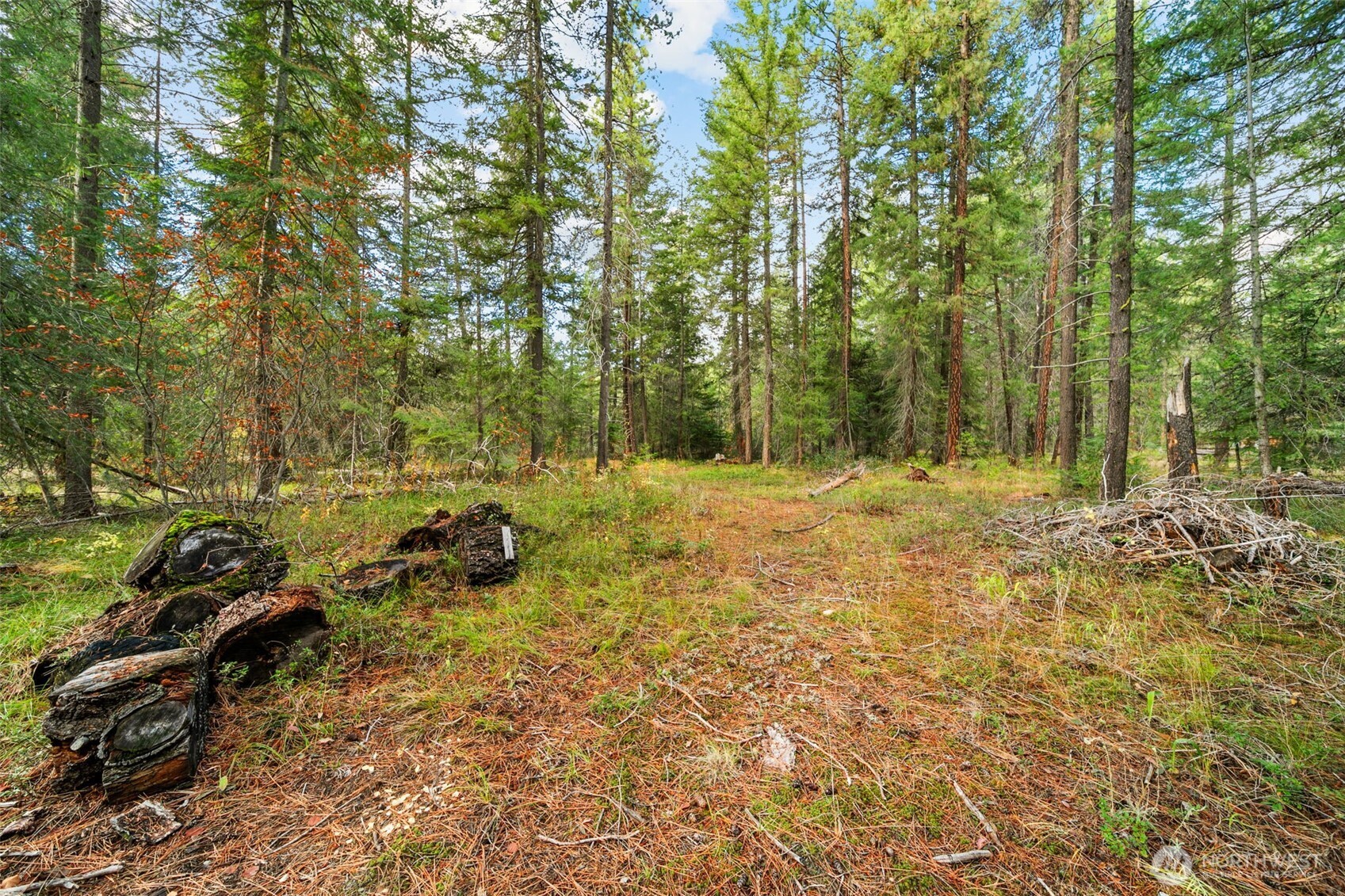 0 S Shugart Flats Road , Leavenworth, WA 98826