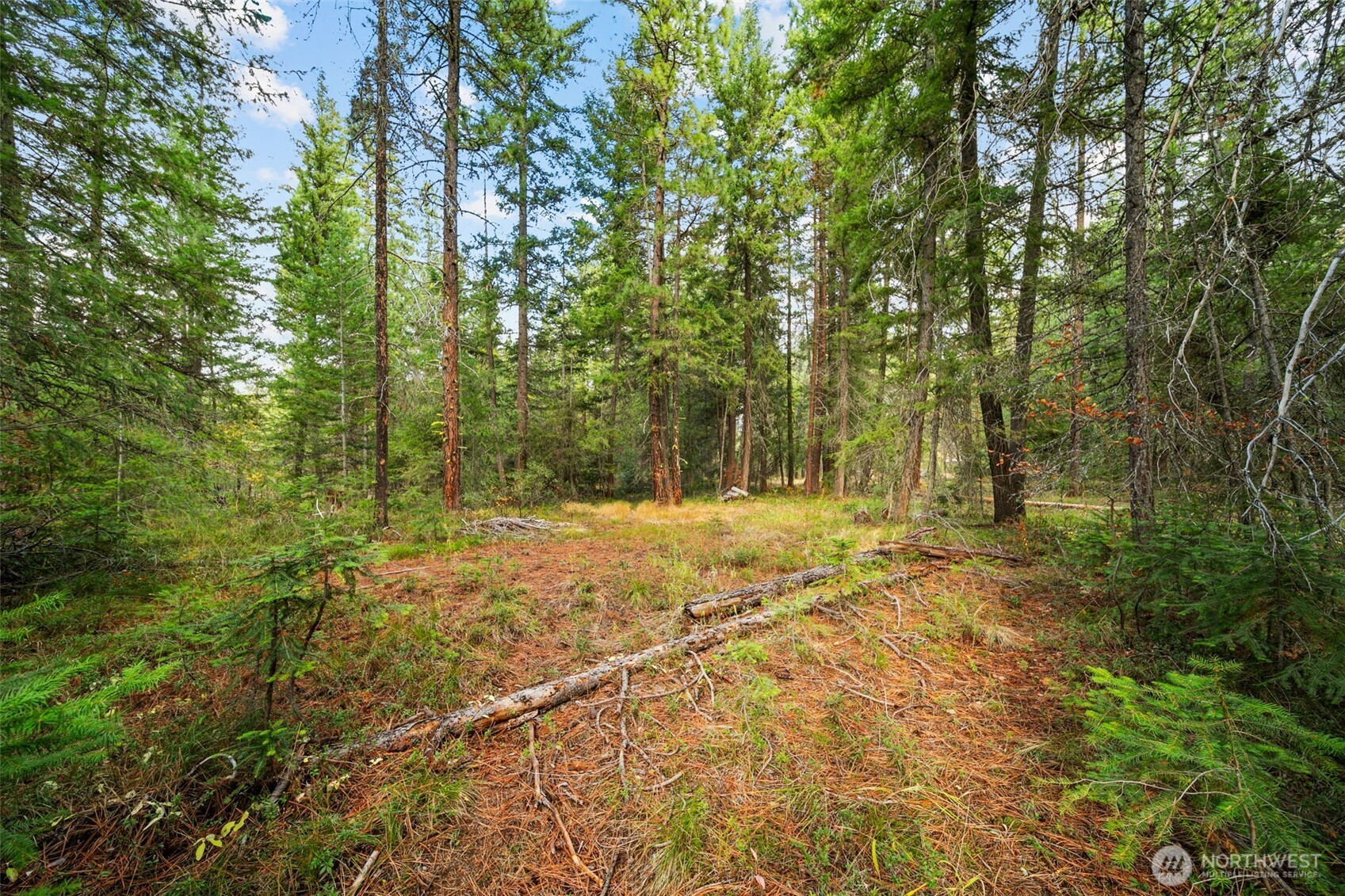 0 S Shugart Flats Road , Leavenworth, WA 98826