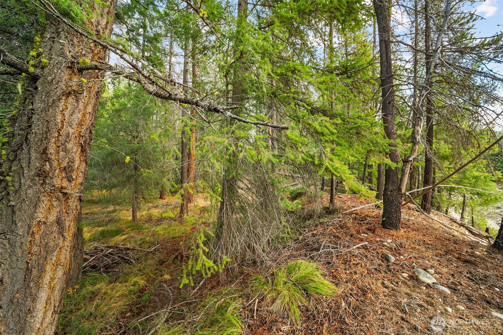 0 S Shugart Flats Road , Leavenworth, WA 98826