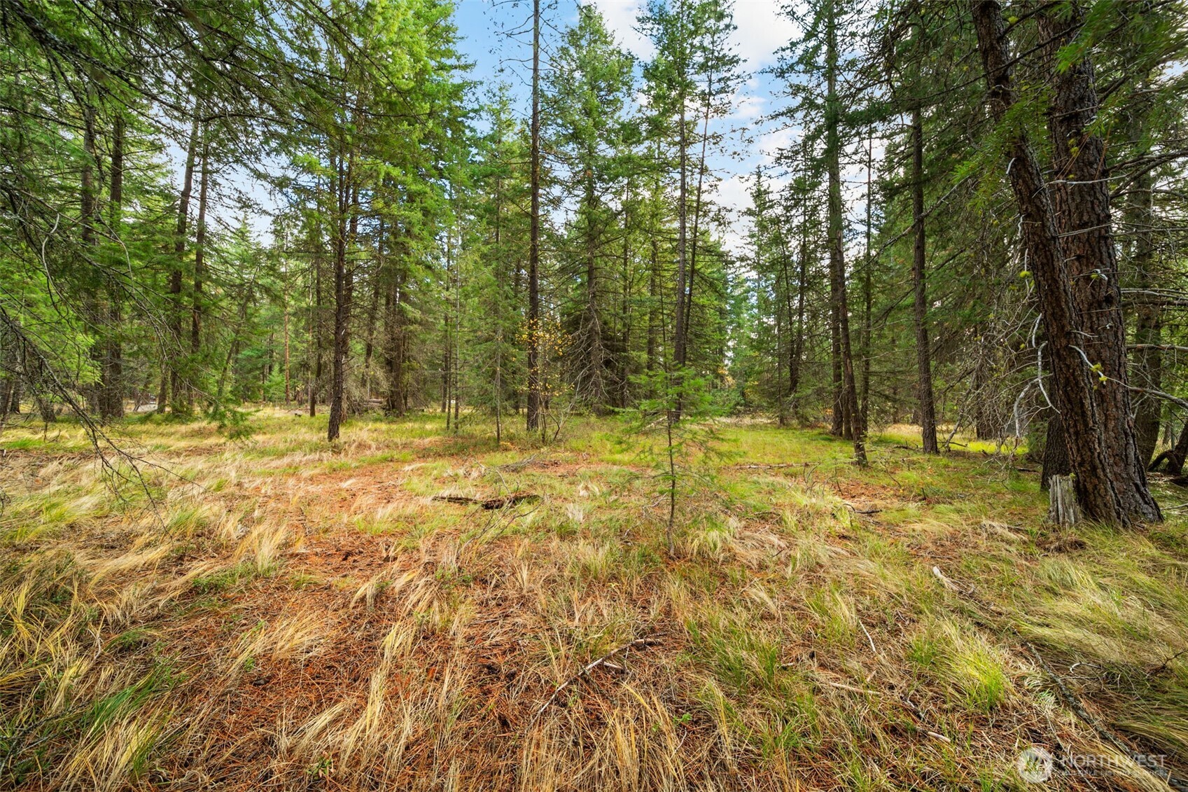 0 S Shugart Flats Road , Leavenworth, WA 98826