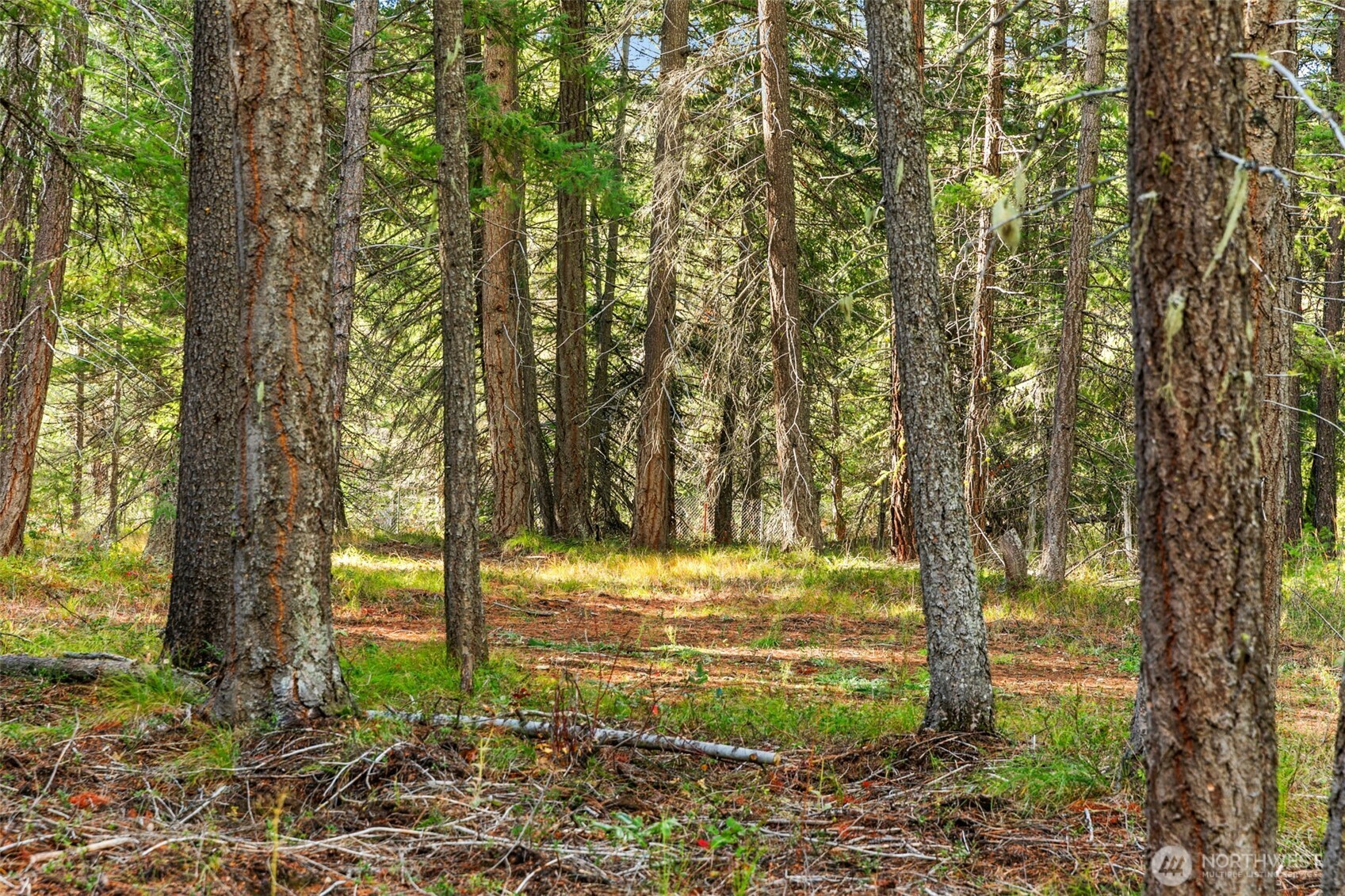 0 S Shugart Flats Road , Leavenworth, WA 98826