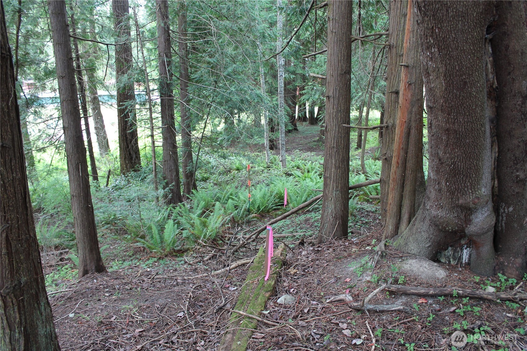 85 Quinault Loop , Port Townsend, WA 98368