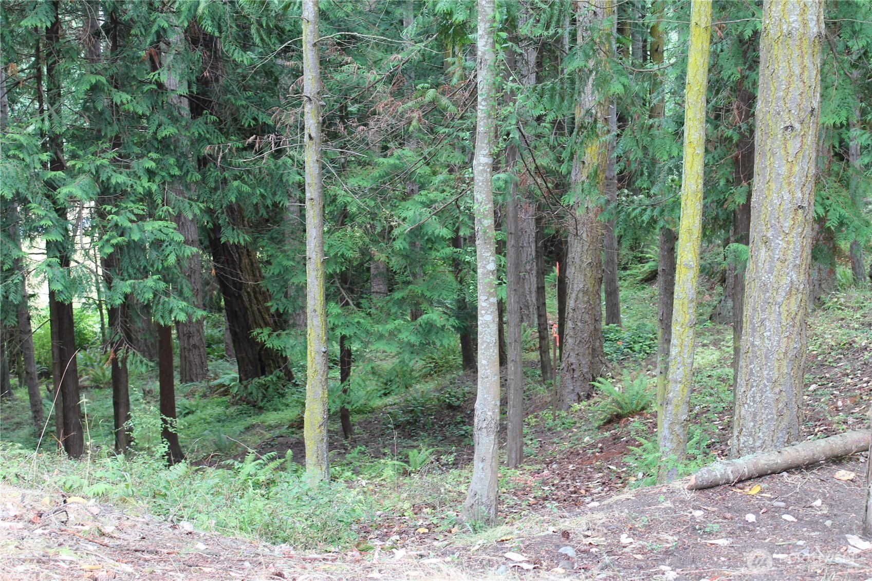 85 Quinault Loop , Port Townsend, WA 98368