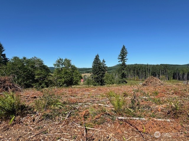 0 Lot 6 Nelson Road , Winlock, WA 98596