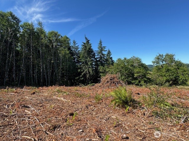 0 Lot 6 Nelson Road , Winlock, WA 98596