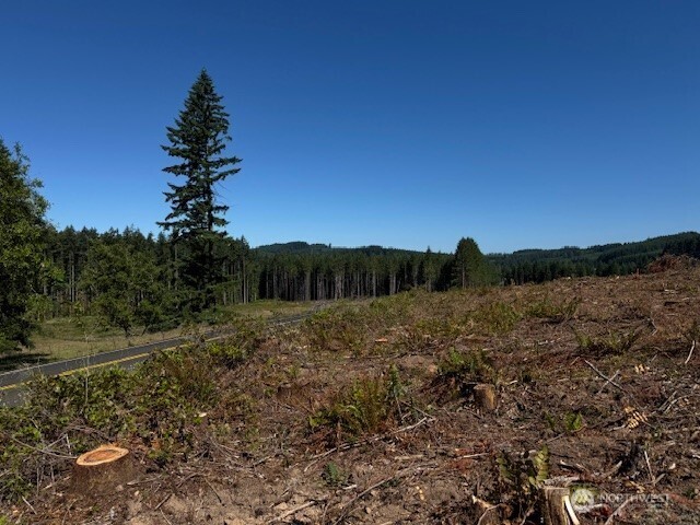 0 Lot 6 Nelson Road , Winlock, WA 98596