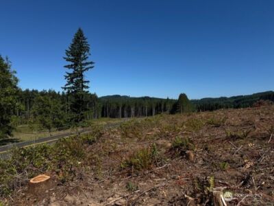 0 Lot 6 Nelson Road , Winlock, WA 98596 - Photo 11