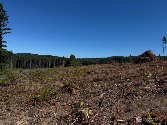 0 Lot 6 Nelson Road , Winlock, WA 98596