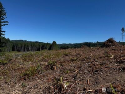 0 Lot 6 Nelson Road , Winlock, WA 98596 - Photo 12