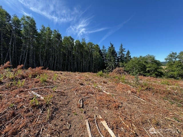 0 Lot 6 Nelson Road , Winlock, WA 98596