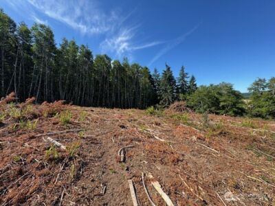 0 Lot 6 Nelson Road , Winlock, WA 98596 - Photo 14